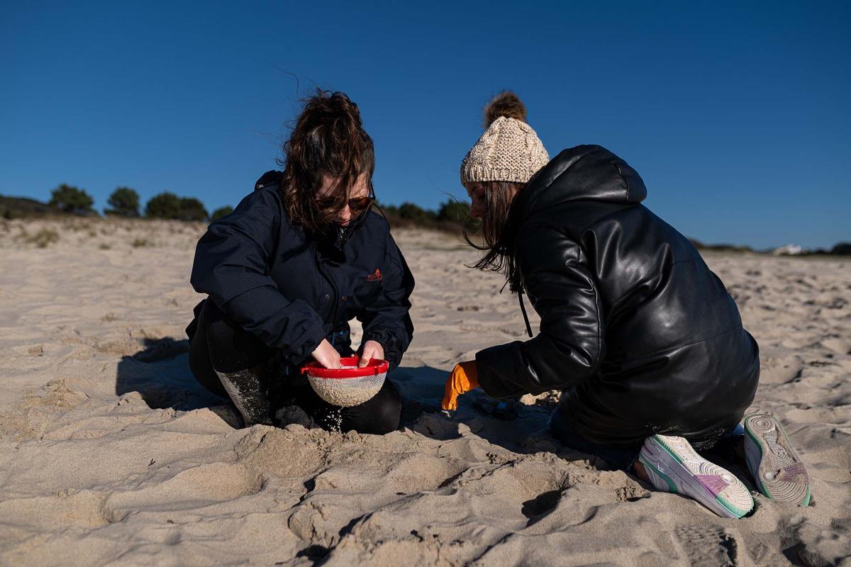 Contaminación marina por el vertido de pellets en la costa gallega