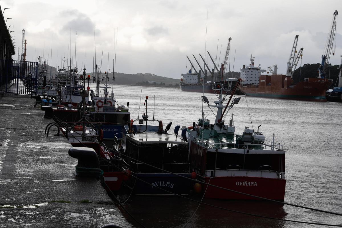 Barcos en el muelle pesquero de Avilés.