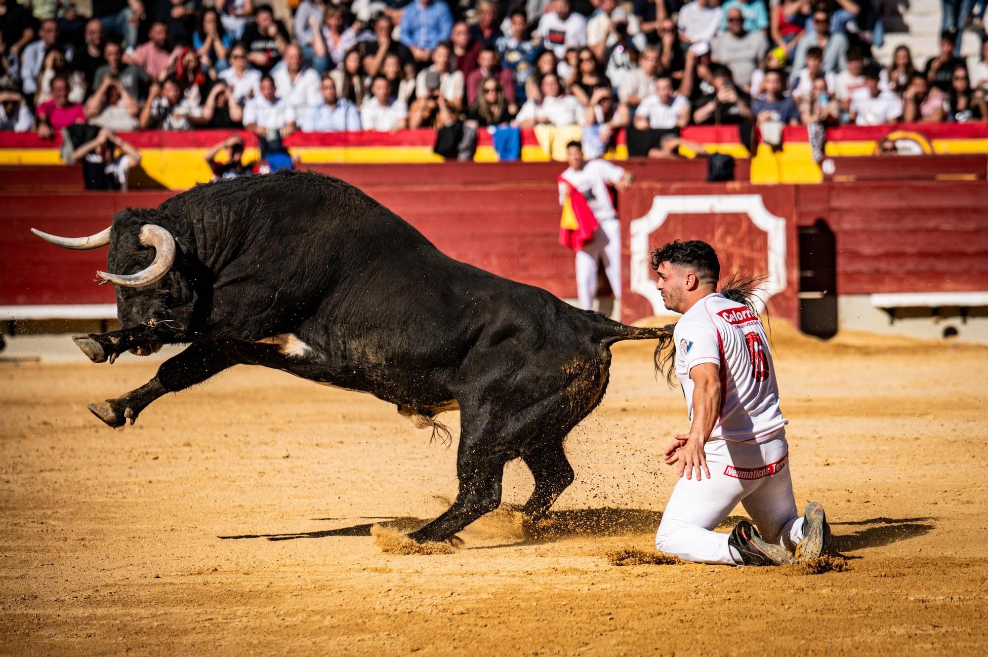 Así ha sido la gran final del campeonato de recortadores