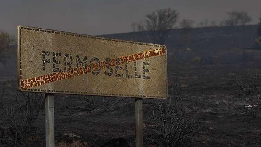 Terreno de Fermoselle afectado por el incendio.