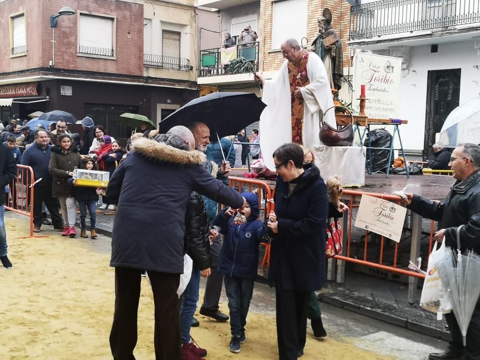 Bendición de animales en Xirivella.