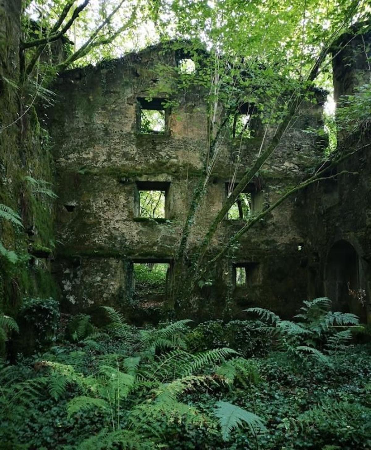 La naturaleza ha recuperado su terreno en esta antigua zona industrial.