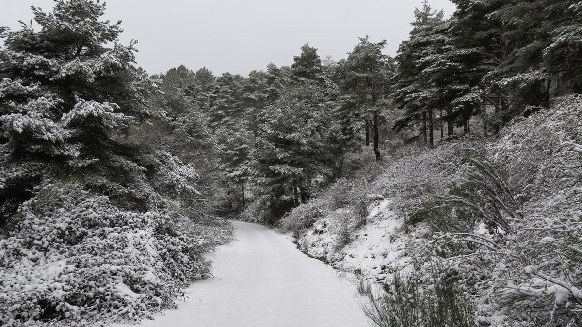 La Nochebuena es blanca en Hervás: la nieve pinta sus paisajes