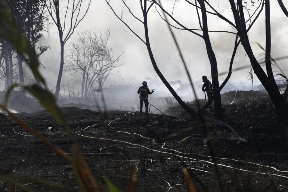 Sofocado un incendio que ha afectado a 100m2 en Puente Tocinos