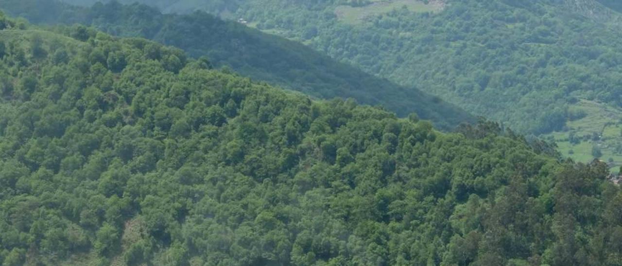 La actual térmica de carbón de La Pereda, en Mieres, propiedad de Hunosa.