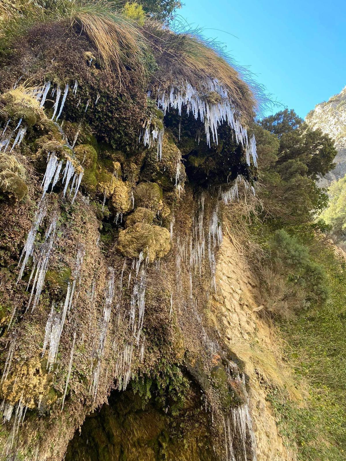 El agua se ha congelado en El Pantanet de Petrer.