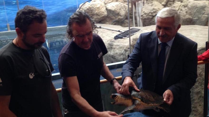 El plástico amenaza al Mar de Alborán