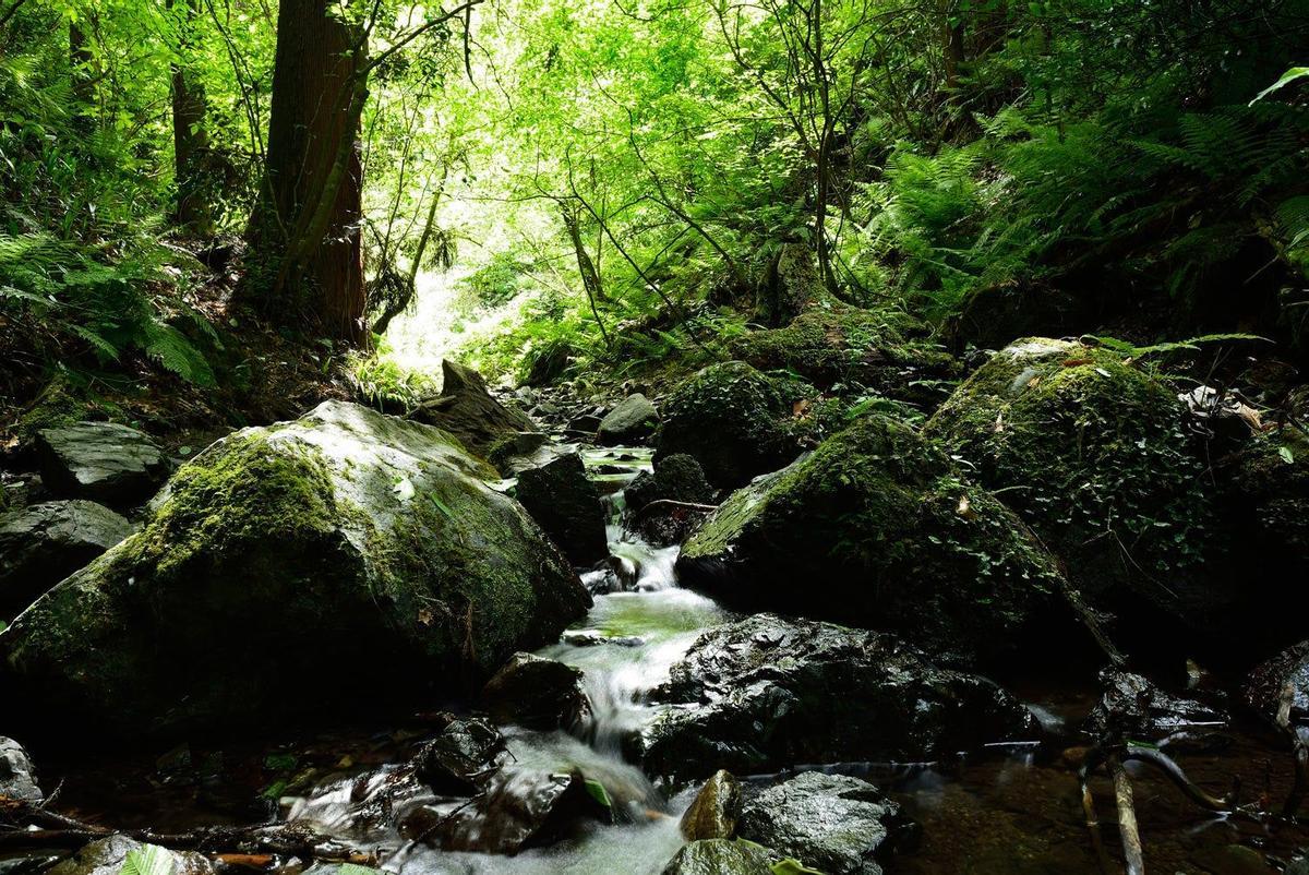 Monte Takao, Tokio