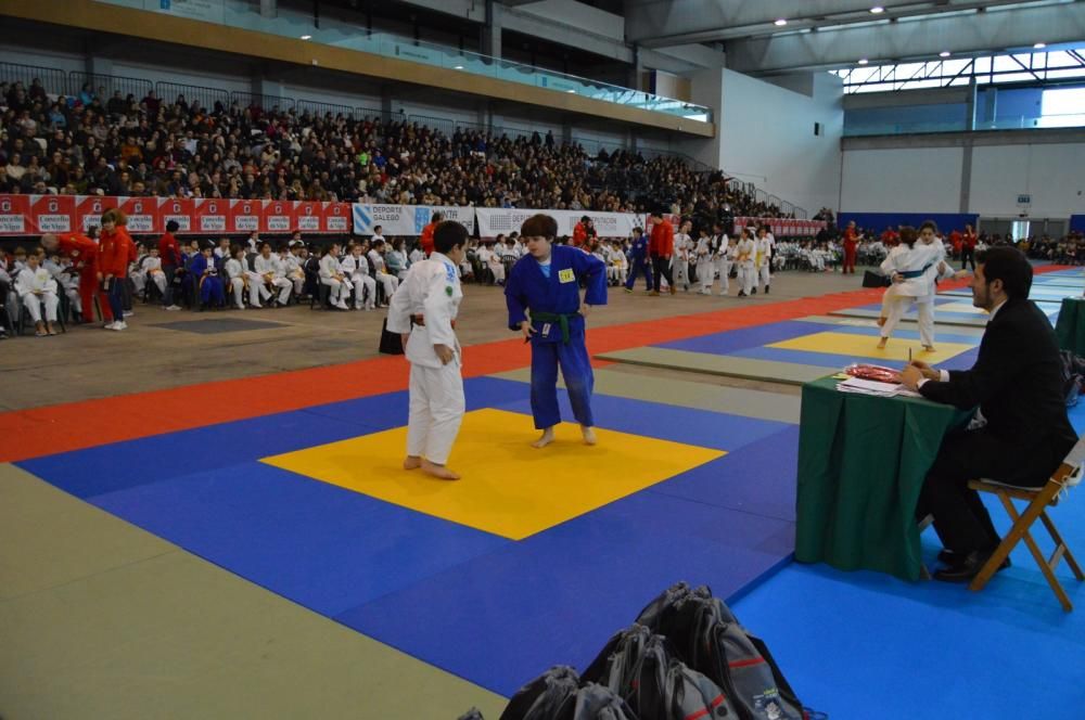 26ª edición de la Fiesta del Judo Infantil.