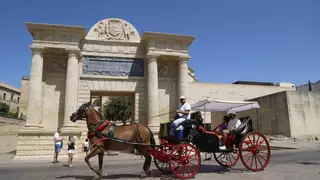 Los coches de caballos de Córdoba: calor y pocos clientes