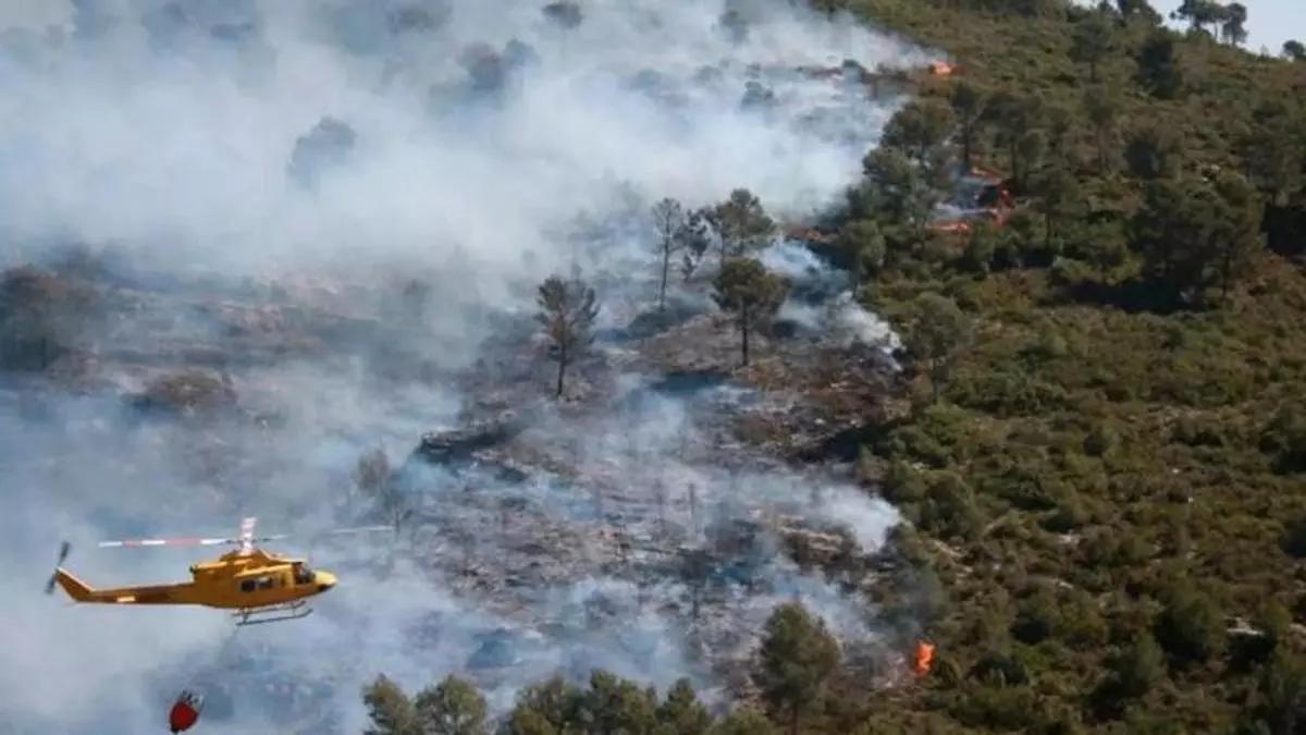 Imaxe de arquivo dun incendio forestal.