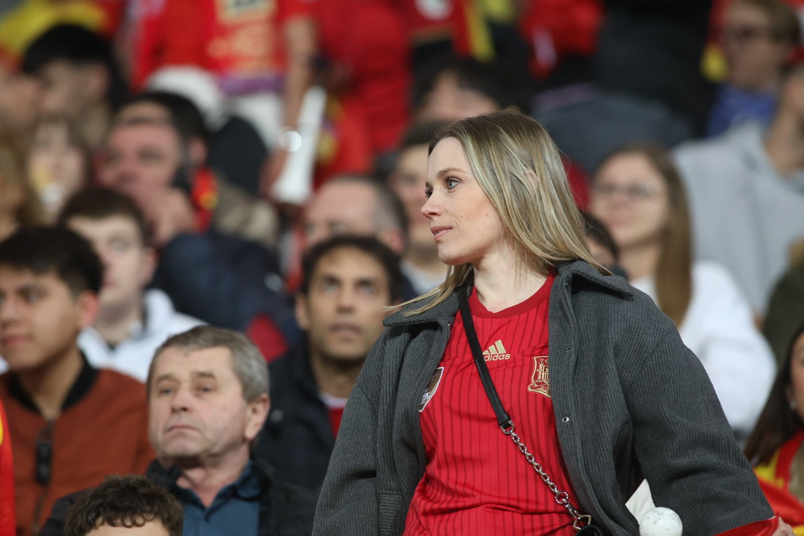 España - Países Bajos: Búscate en la grada de Mestalla