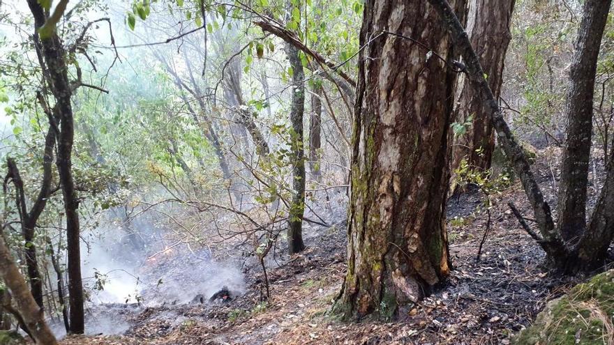 Ensurt per dos incendis causats per llamps a Amer i Cabanelles