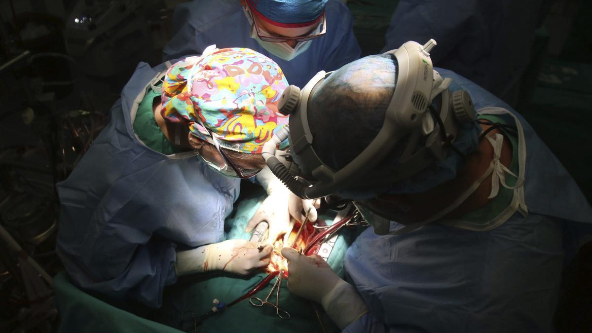Profesionales sanitarios llevan a cabo un trasplante en un quirófano.