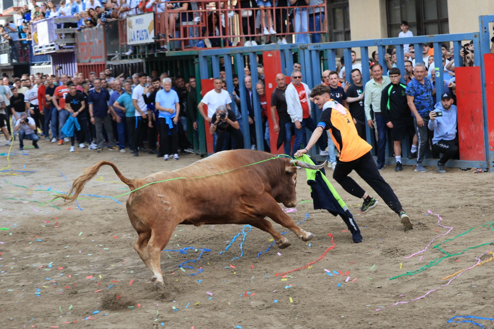 Fotos de la tarde taurina del jueves de las fiestas de Sant Pasqual en Vila-real