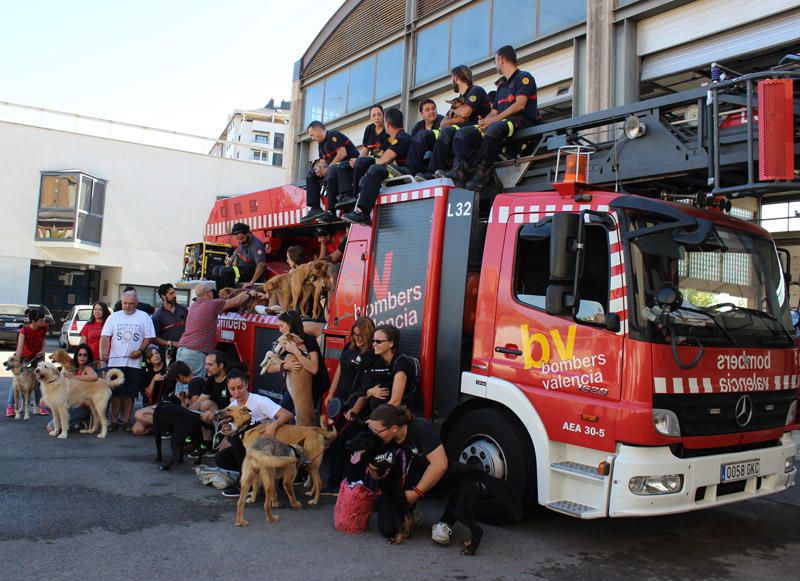 Los Bomberos de Valencia, con la adopción de mascotas