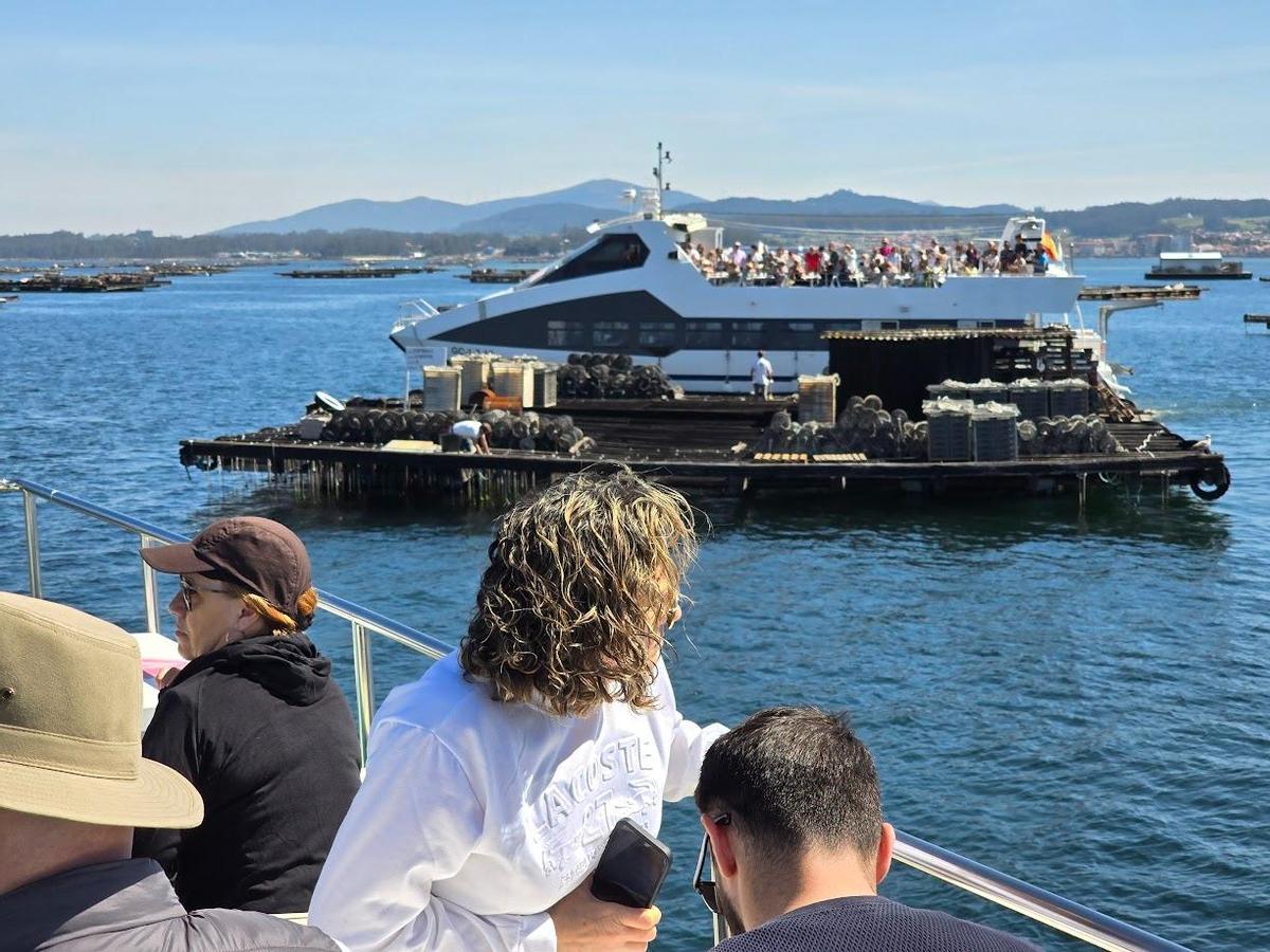 Viajeros observando bateas a bordo de dos catamaranes.