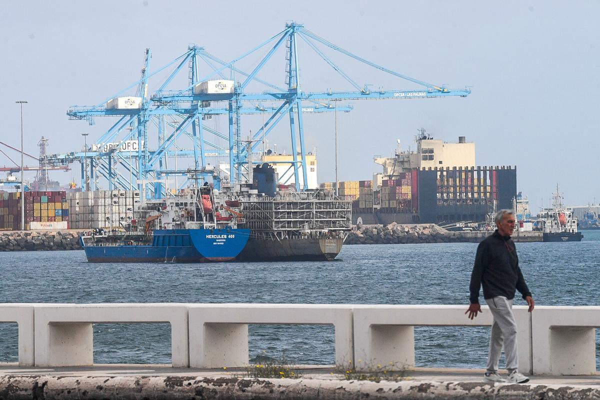 Barco 'Zein I', fondeado cargado de vacas en el Puerto de Las Palmas Barco 'Zein I', fondeado cargado de vacas en el Puerto de Las Palmas