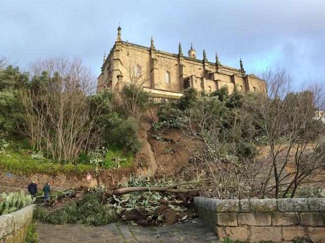 Fotogalería | Desprendimiento al lado de la Catedral de Coria