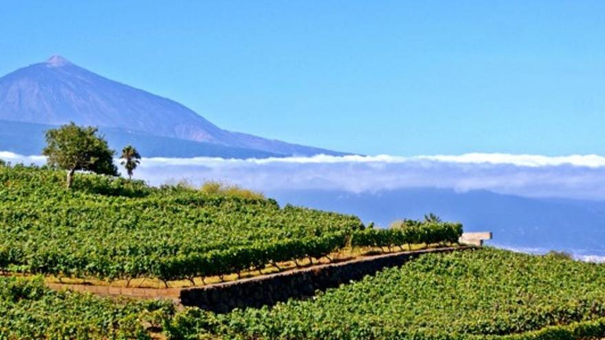 Tenerife, una gastronomía abierta y sin límites