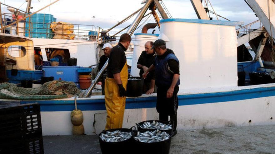 Pescadores del Puerto de Caleta de Vélez.