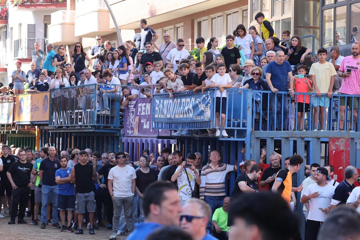 Fotogalería I Las imágenes de la tercera jornada de 'bou al carrer' de las fiestas de Sant Pasqual en Vila-real