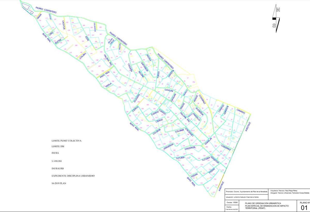 Distribución de las parcelas y &quot;calles&quot; en el más de millón de metros de  Pinar de La Perdiz