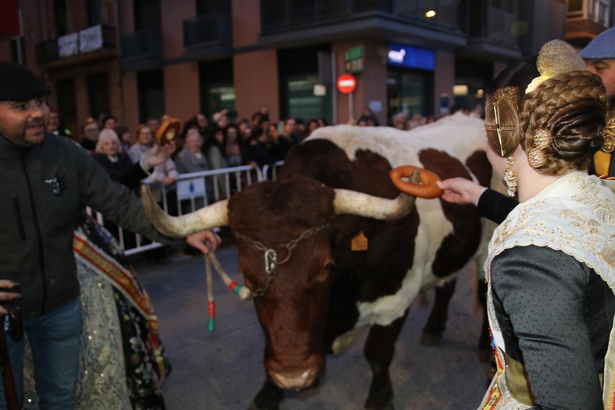 Sant Antoni en Burriana.
