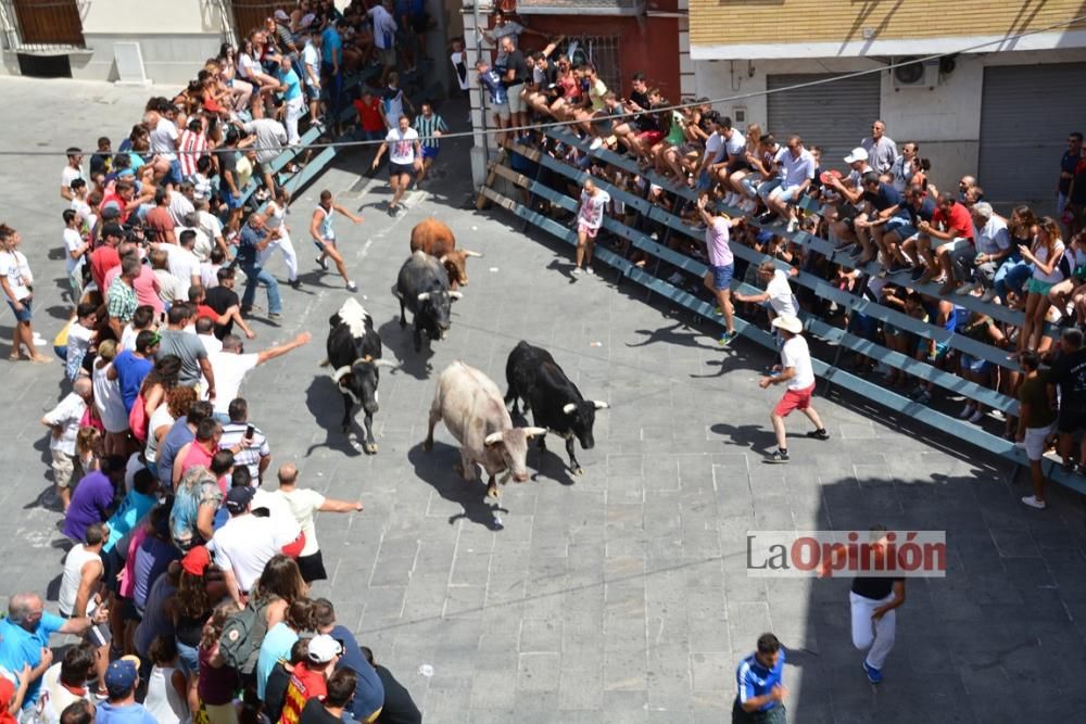 I Encierro de Blanca 2016