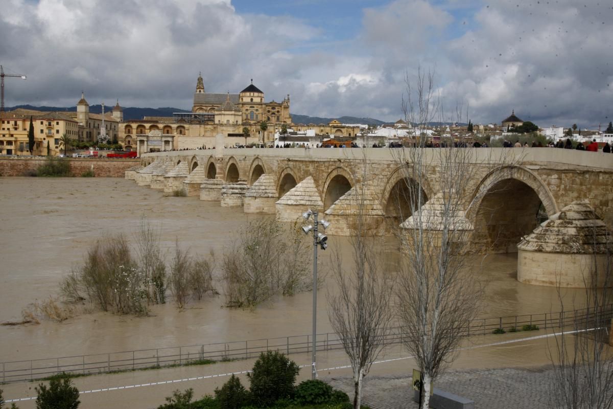 Córdoba, pendiente de la crecida del Guadalquivir