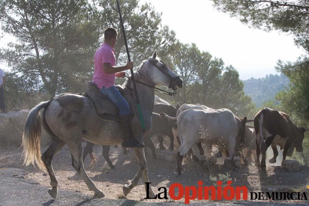 Vereda en Moratalla