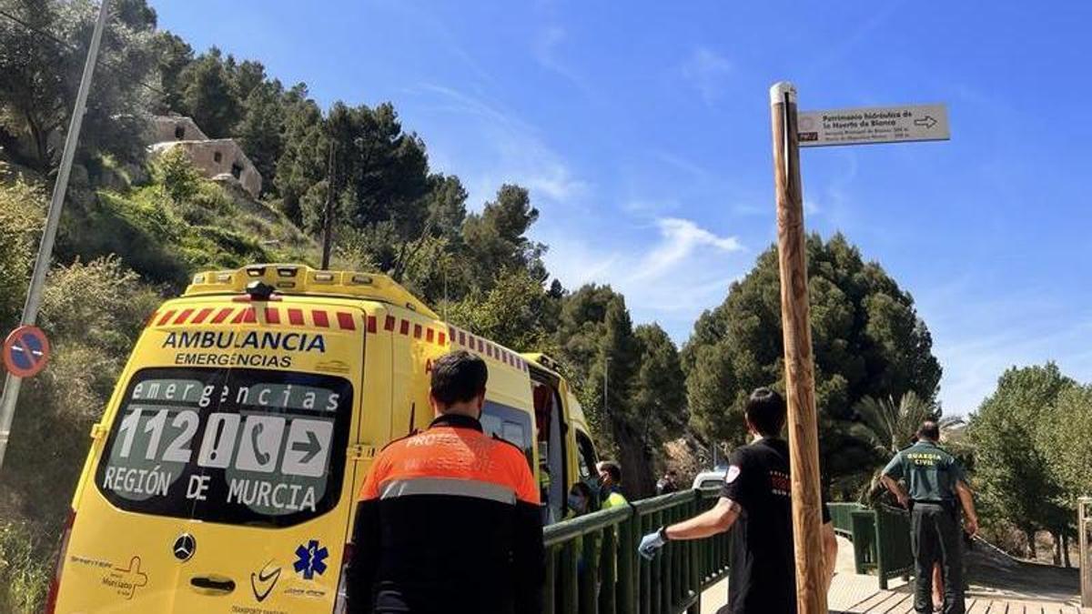 Herido grave al golpearse la cabeza tras tirarse al río Segura desde un ...
