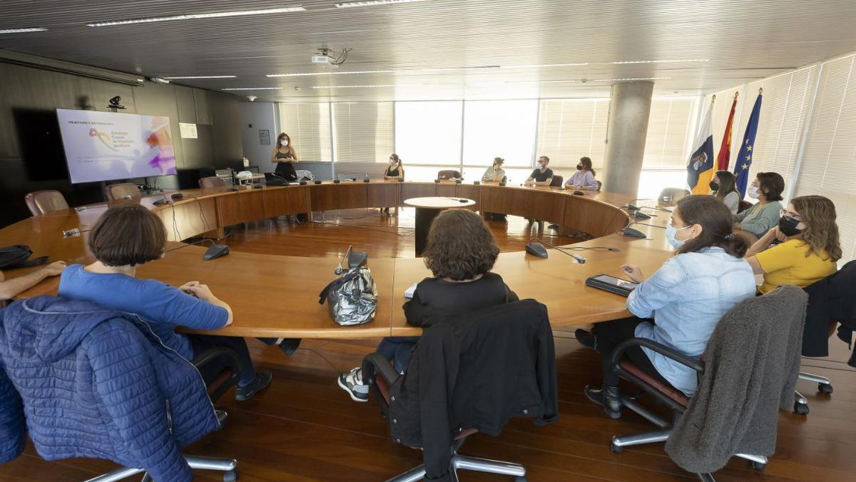 El colegio de trabajo social se suma a la Estrategia Canaria de Transición Igualitaria