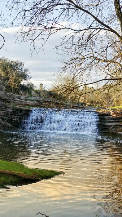 Aigua a dojo. L’aigua és vida i quan abunda ens deixa paisatges i racons com el de la fotografia.