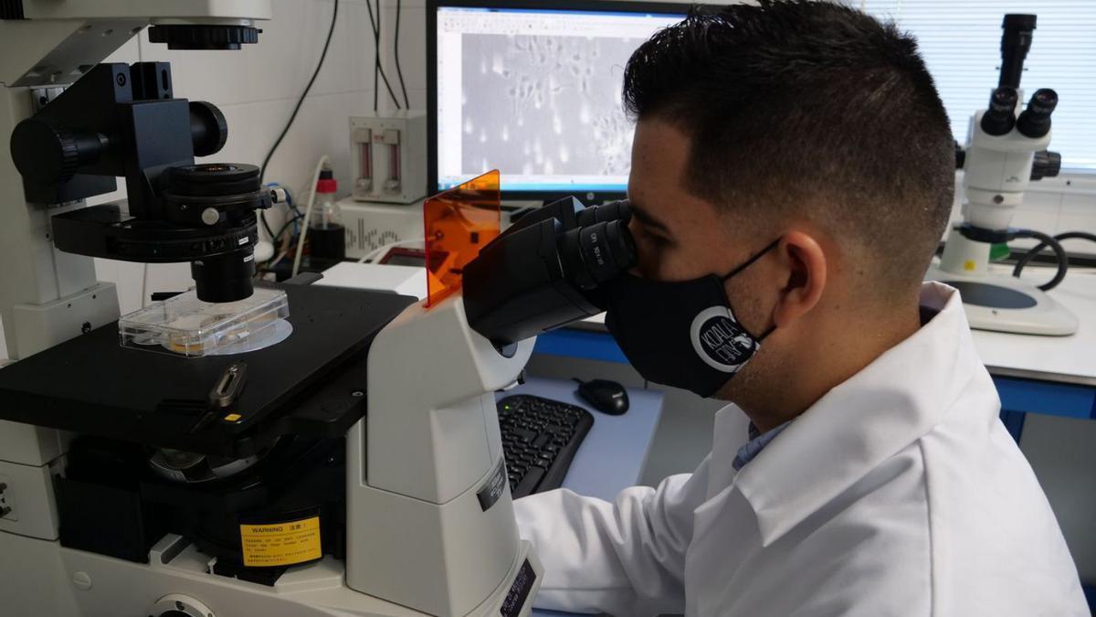 Juan Antonio García, investigador de la Universidad de Málaga.