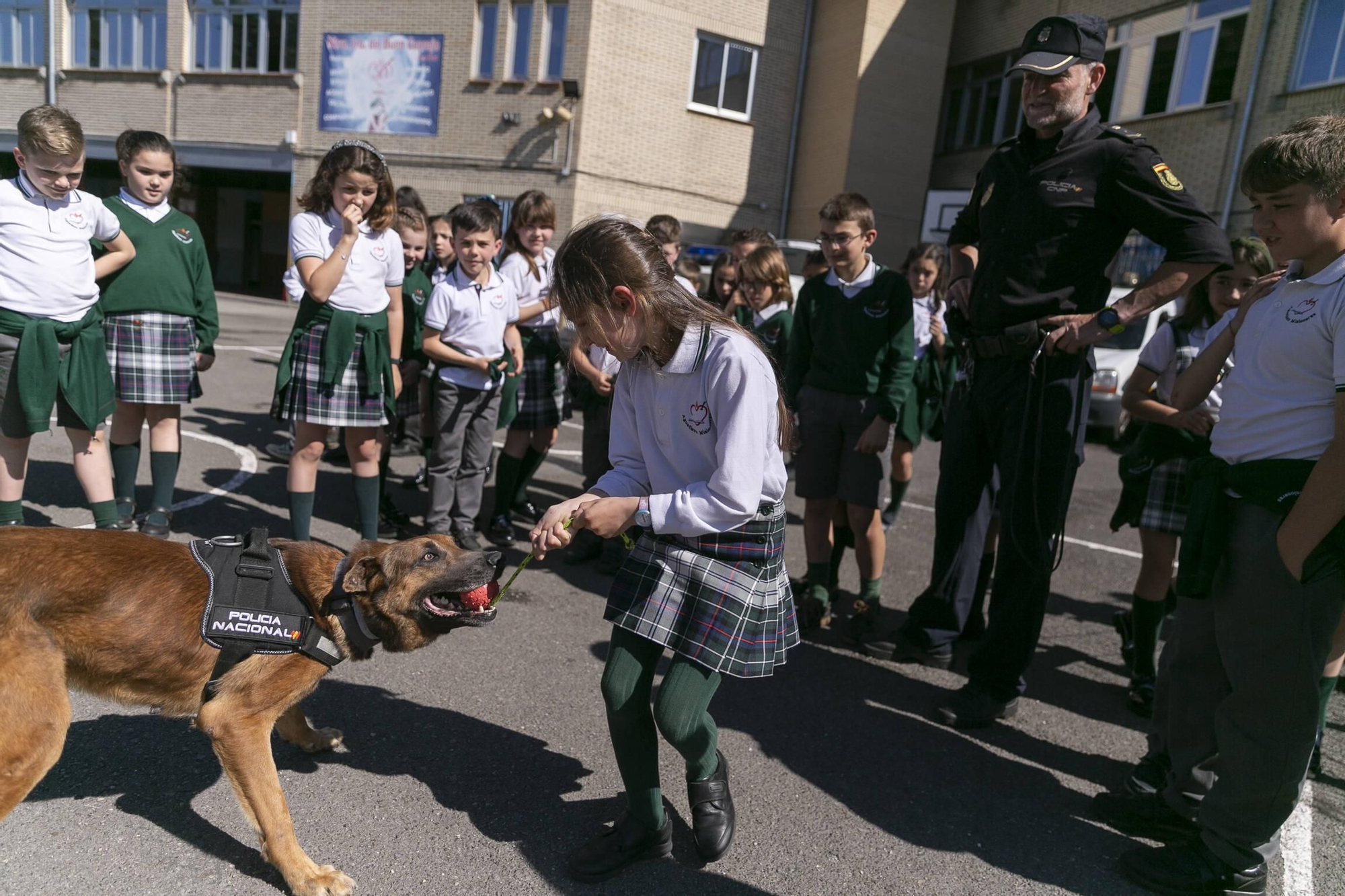 Razones para ser policia