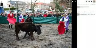 Denuncian un festejo taurino "presuntamente ilegal” en Vila de Cruces