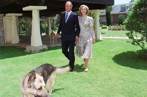 Bodes de Plata de S.M. els Reis (14 de maig de 1987).