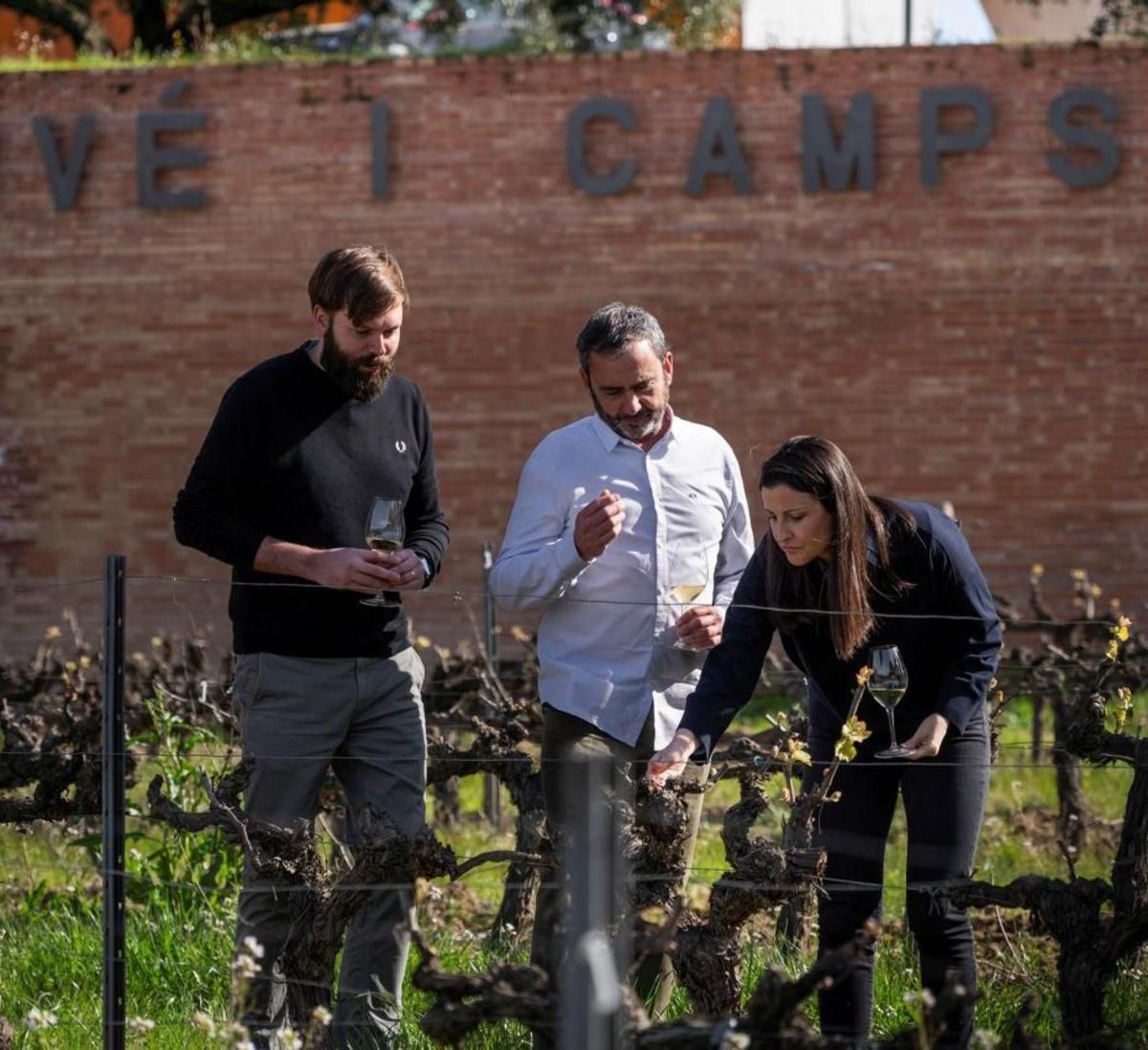 La històrica Juvé & Camps abandona la DO Cava i passa a Corpinnat