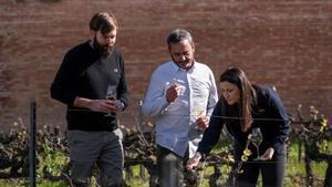 La històrica Juvé & Camps abandona la DO Cava i passa a Corpinnat