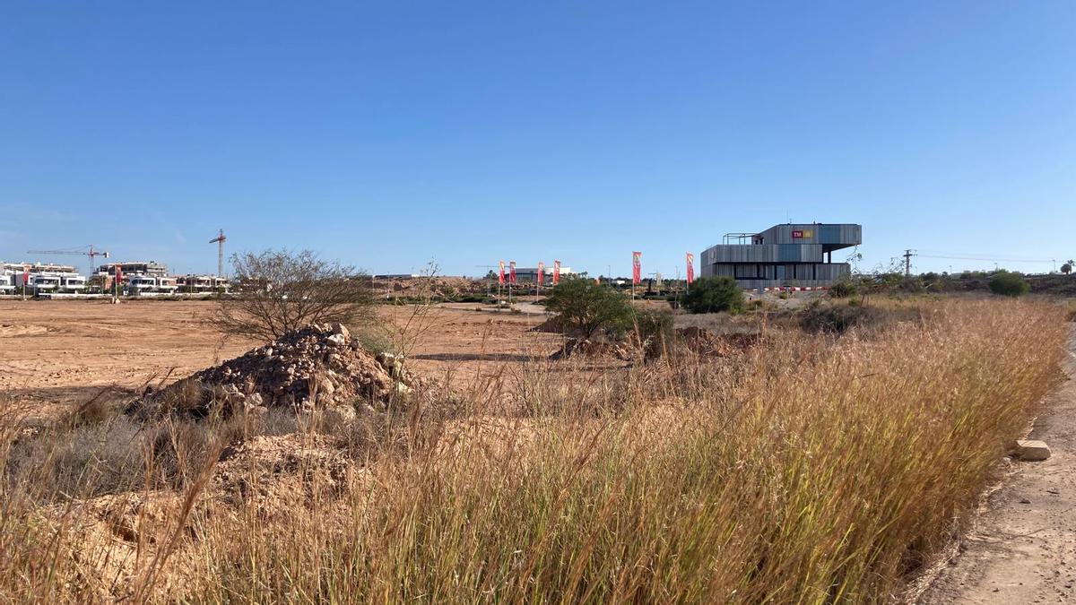 Terrenos donde está prevista la construcción de 775 viviendas protegidas en la fase II de la macrourbanización La Hoya de Torrevieja y que están por urbanizar