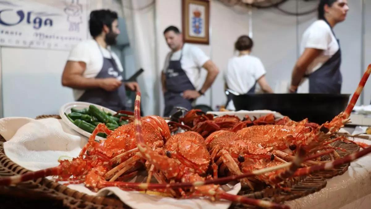 El marisco más cantarín de Galicia está al borde de la desaparición en las Rías Baixas: urgen medidas