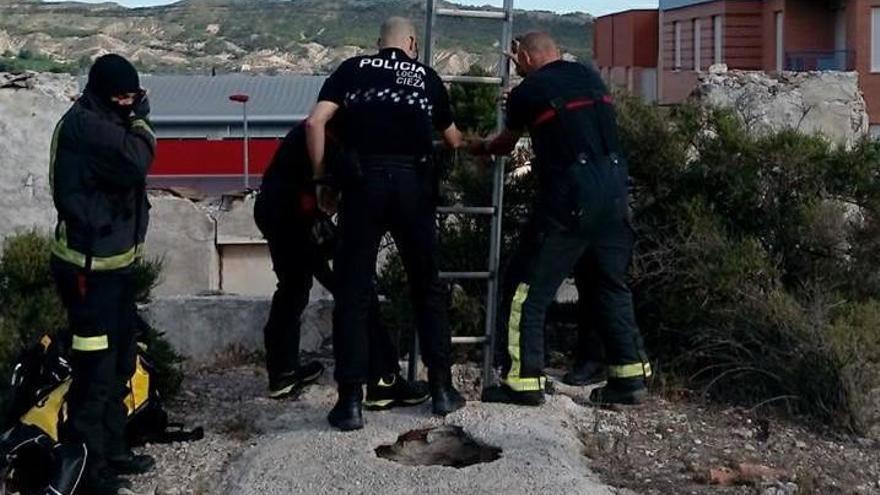 Rescatan a un gato que había caído a un pozo en Cieza