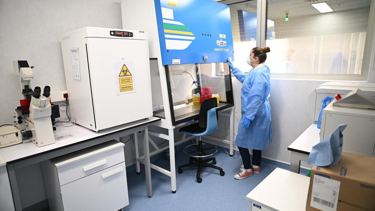Una de las dos salas que forman parte del laboratorio de bioseguridad recién habilitado en el IDiBE, en el campus de Elche.
