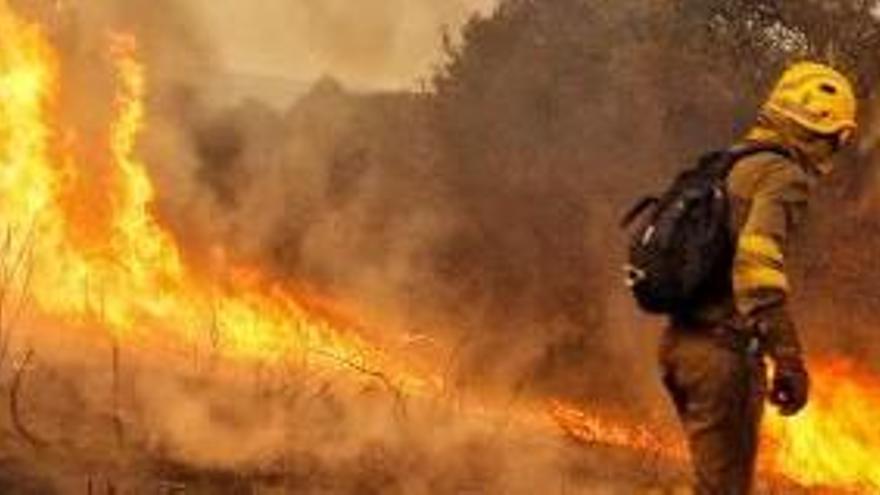 Un bomber lluita enmig de les flames en els incendis de Galícia