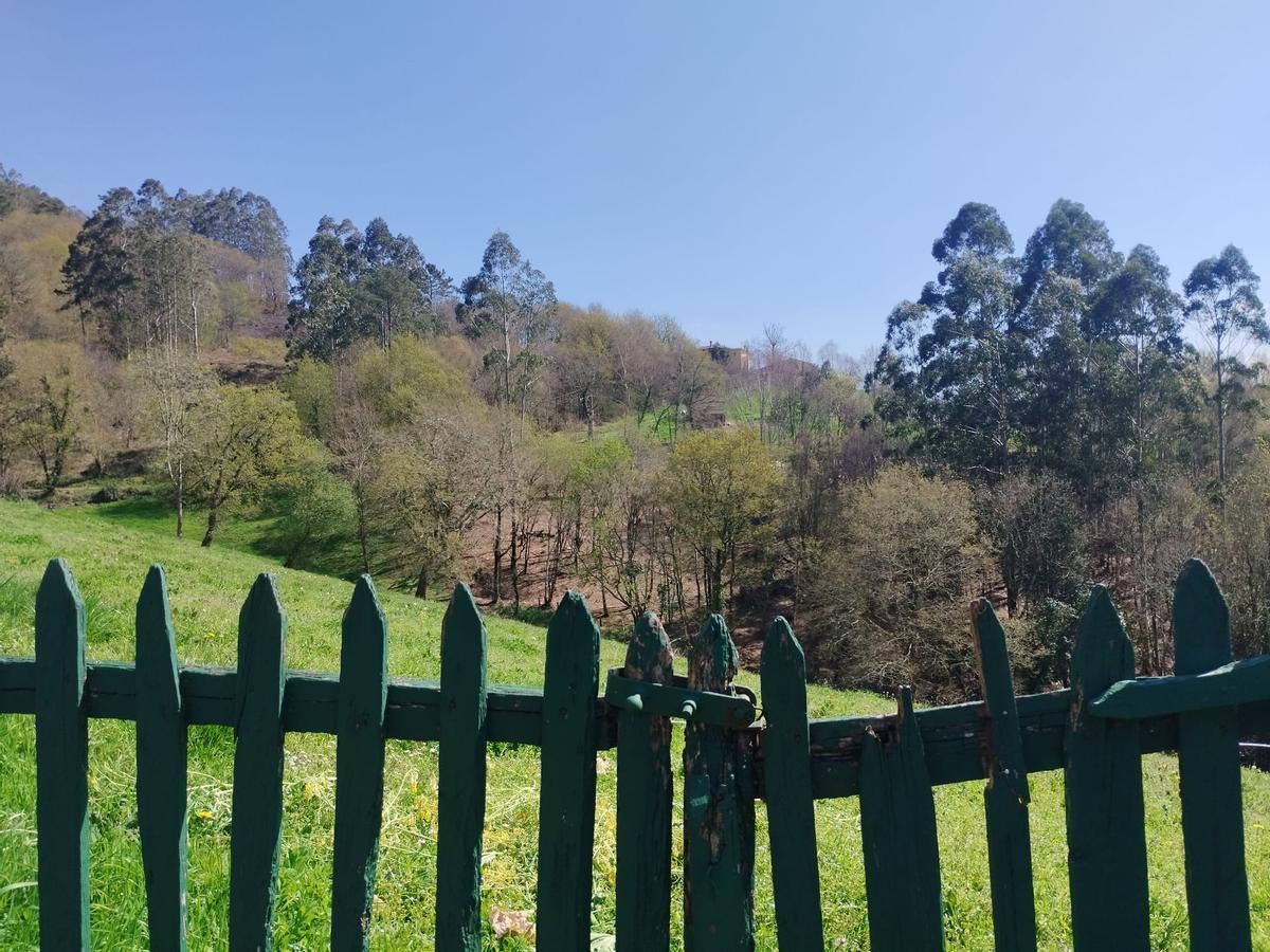 La zona donde se produjo el incendio en El Mirín.