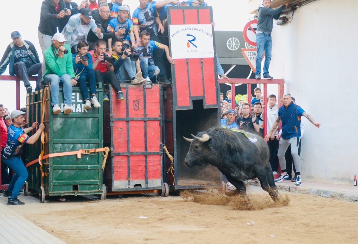 El de la ganadería Los Maños divirtió al respetable y se paseó por el recinto escuchando a los &#039;rodaors&#039;.