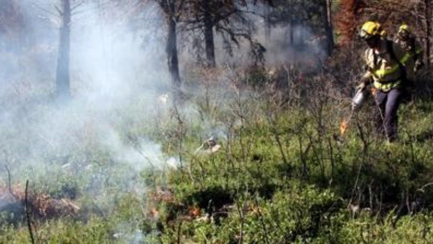 Els Bombers fan cremes al Montgrí per garantir una franja des d&#039;on actuar en cas d&#039;incendi