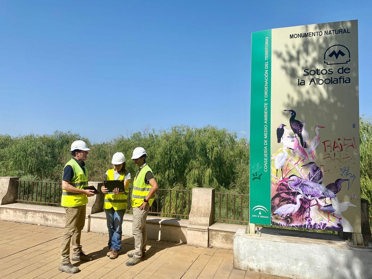 Técnicos supervisan el inicio de las obras de limpieza en los Sotos de la Albolafia.