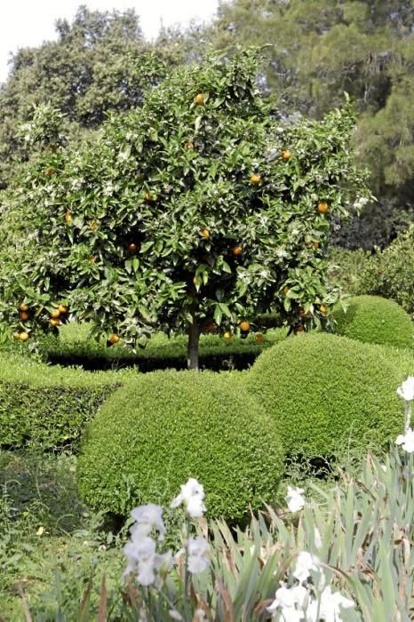 Der Garten von Gritli und Hans Liesenhoff zählt zu den beeindruckendsten Mallorcas. Er vereint Pfl anzenvielfalt und ornamentale Gestaltung mit Philosophie und Poesie.